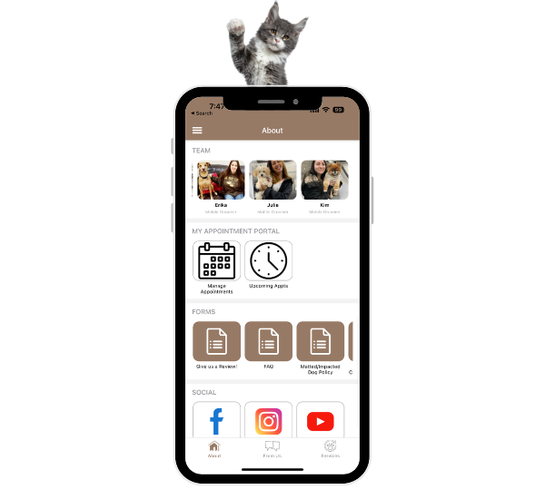 Mobile Pet Groomers Mobile Dog Grooming Long Island