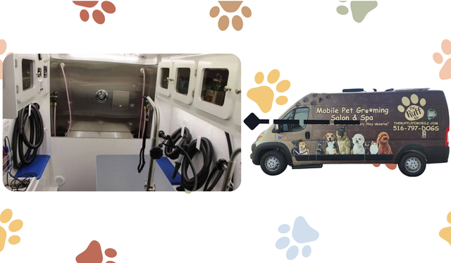 Premier fashion spa mobile pet grooming