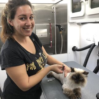 The Ruff Life Mobile Grooming