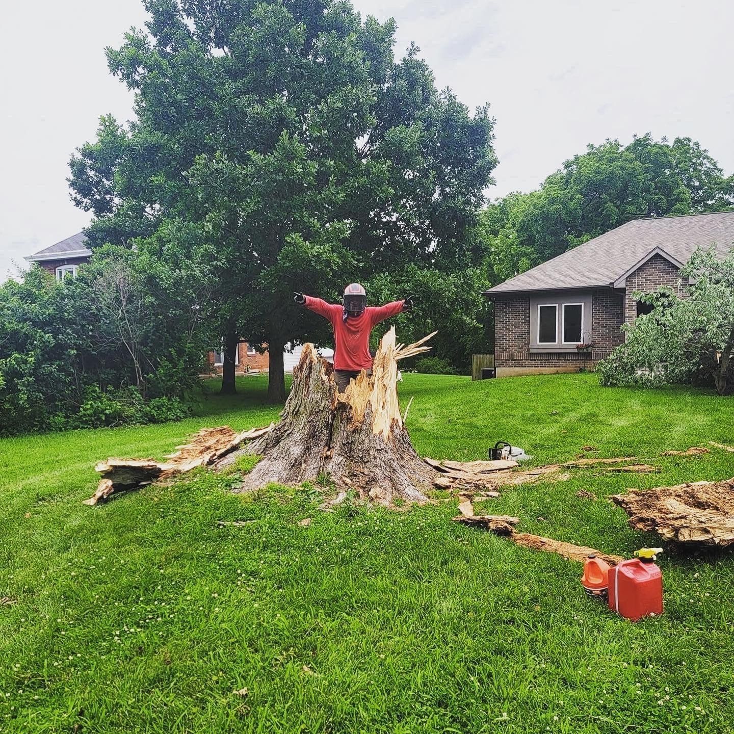 Tree Pruning — Kansas City, MO — Shier’s Family Tree Service