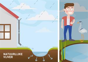 regenwatervijver,natuurvijver,water,afvoeren,hemelwaterafvoer