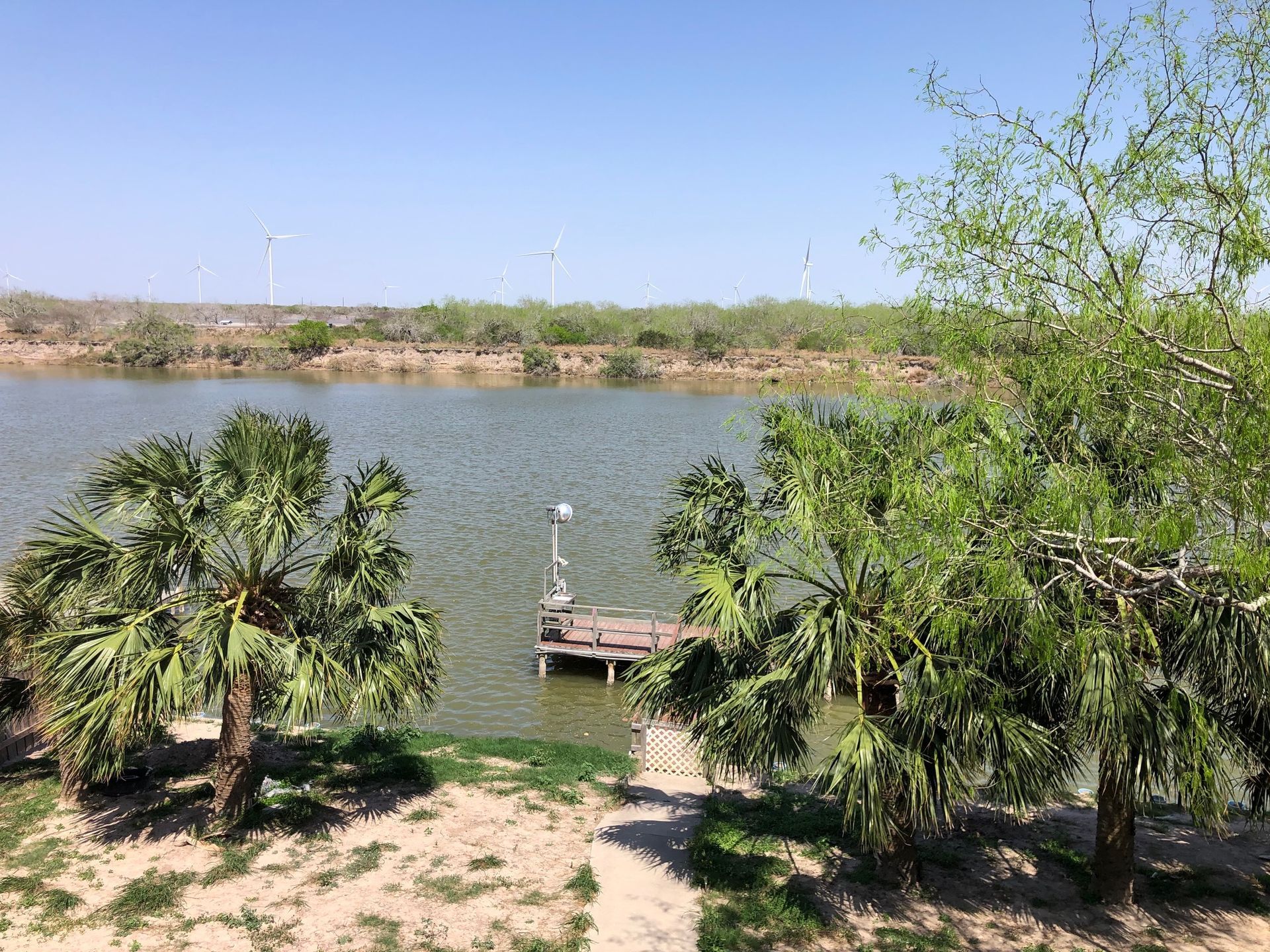 There is a dock in the middle of the lake surrounded by palm trees.