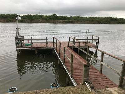 A wooden dock is in the middle of a lake.