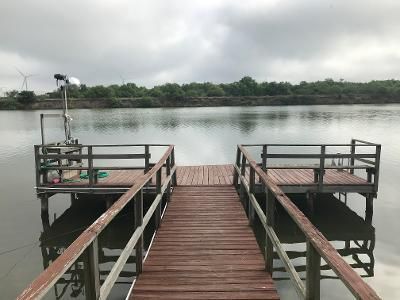 A wooden dock is sitting in the middle of a lake.