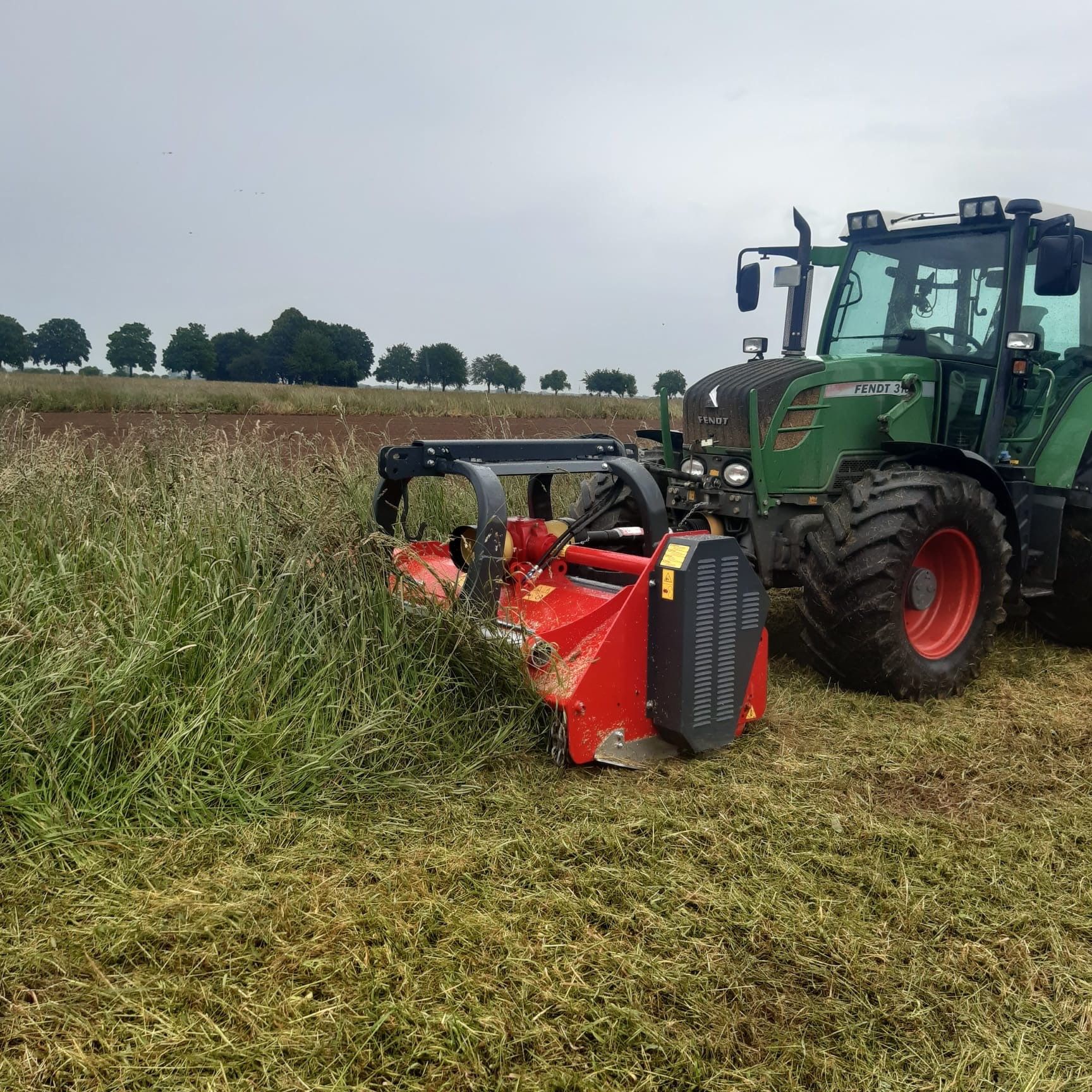 Ein grüner Traktor schneidet Gras auf einem Feld.
