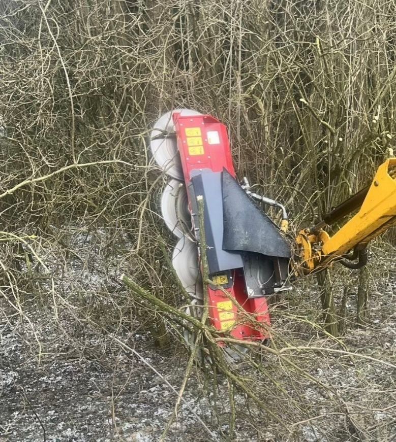 Eine Maschine fällt mitten im Wald einen Baum.