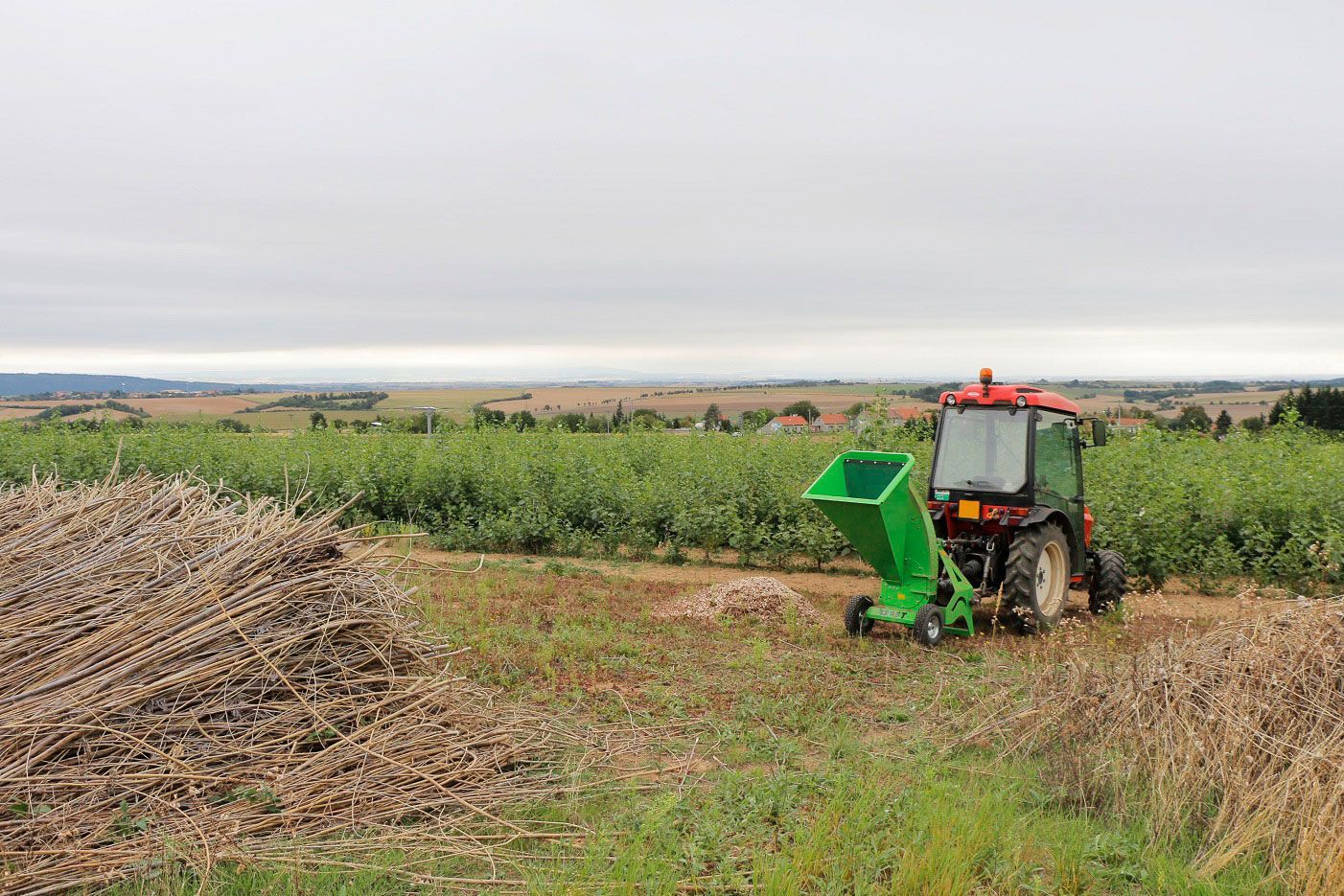 Ein grüner Traktor fährt durch ein Feld.