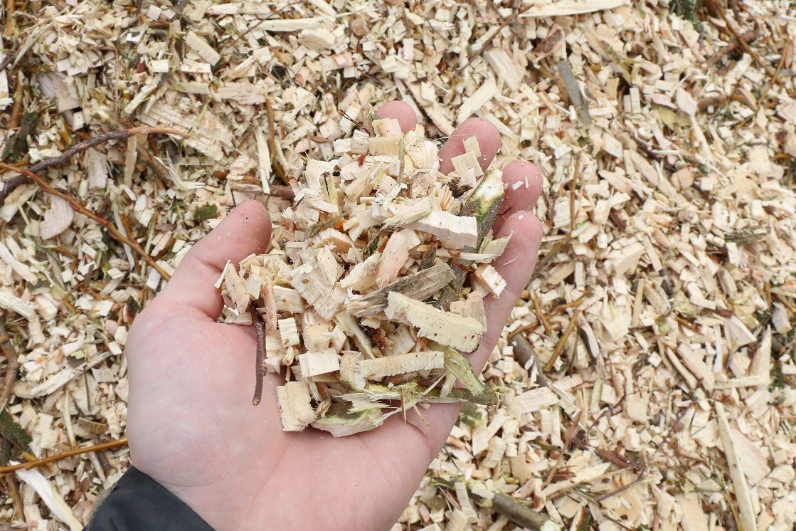 Eine Person hält einen Haufen Holzspäne in der Hand.