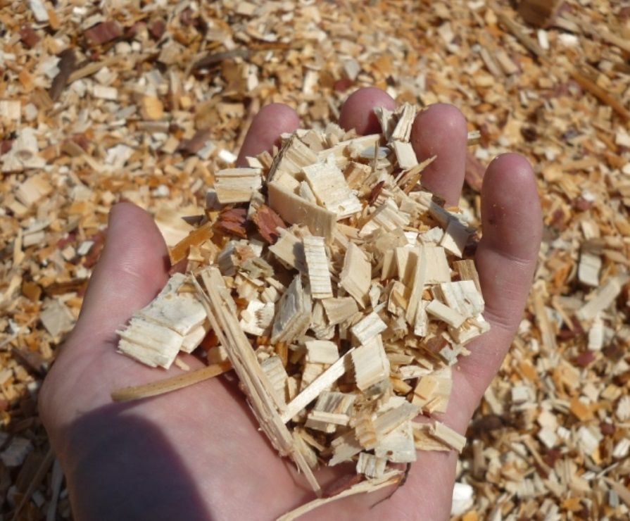 Eine Person hält einen Haufen Holzspäne in der Hand
