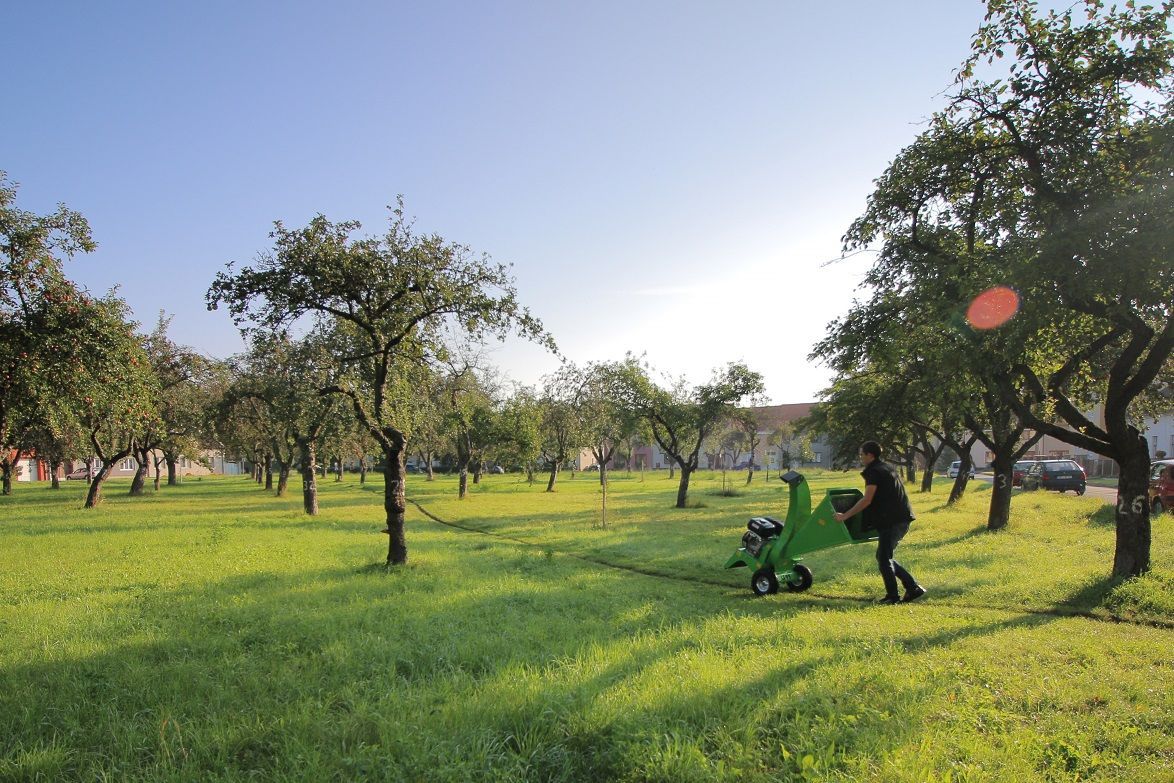 Eine Person, die einen grünen Kinderwagen auf einer Wiese schiebt