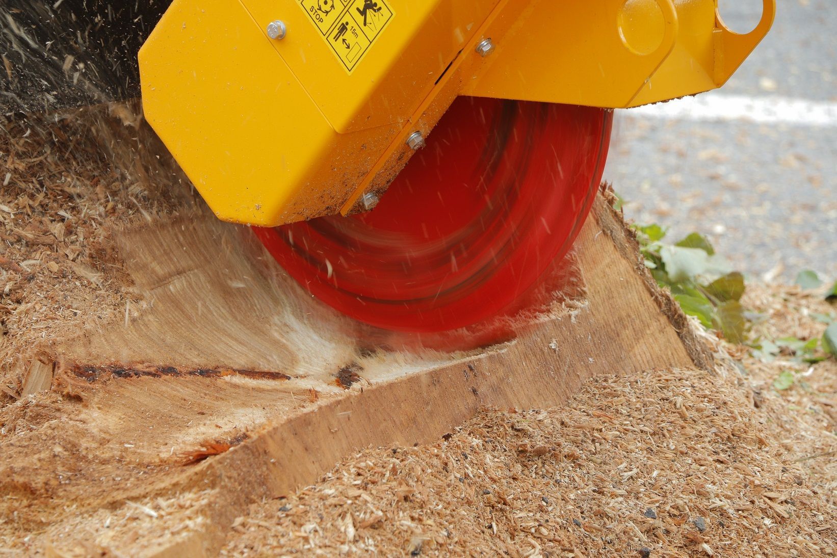 Eine gelb-rote Maschine schneidet einen Baumstumpf ab.