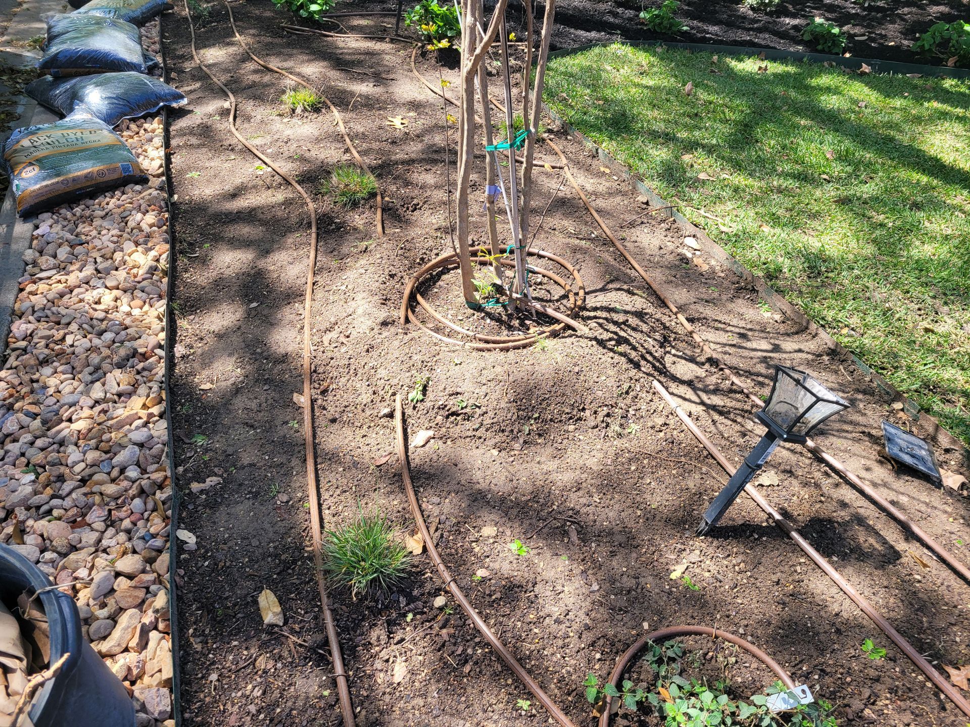 A garden with a tree in the middle of it and irrigation lines.