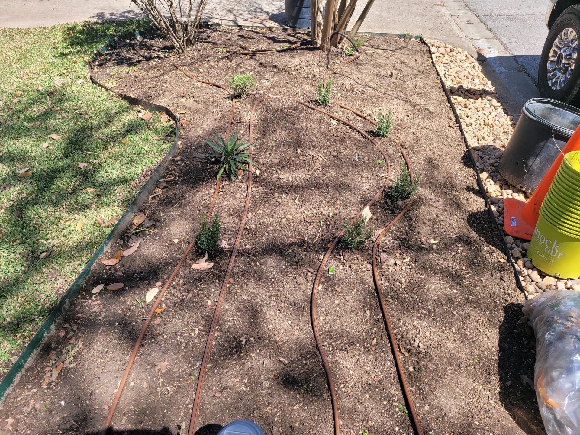 A person is standing in a garden with a hose.