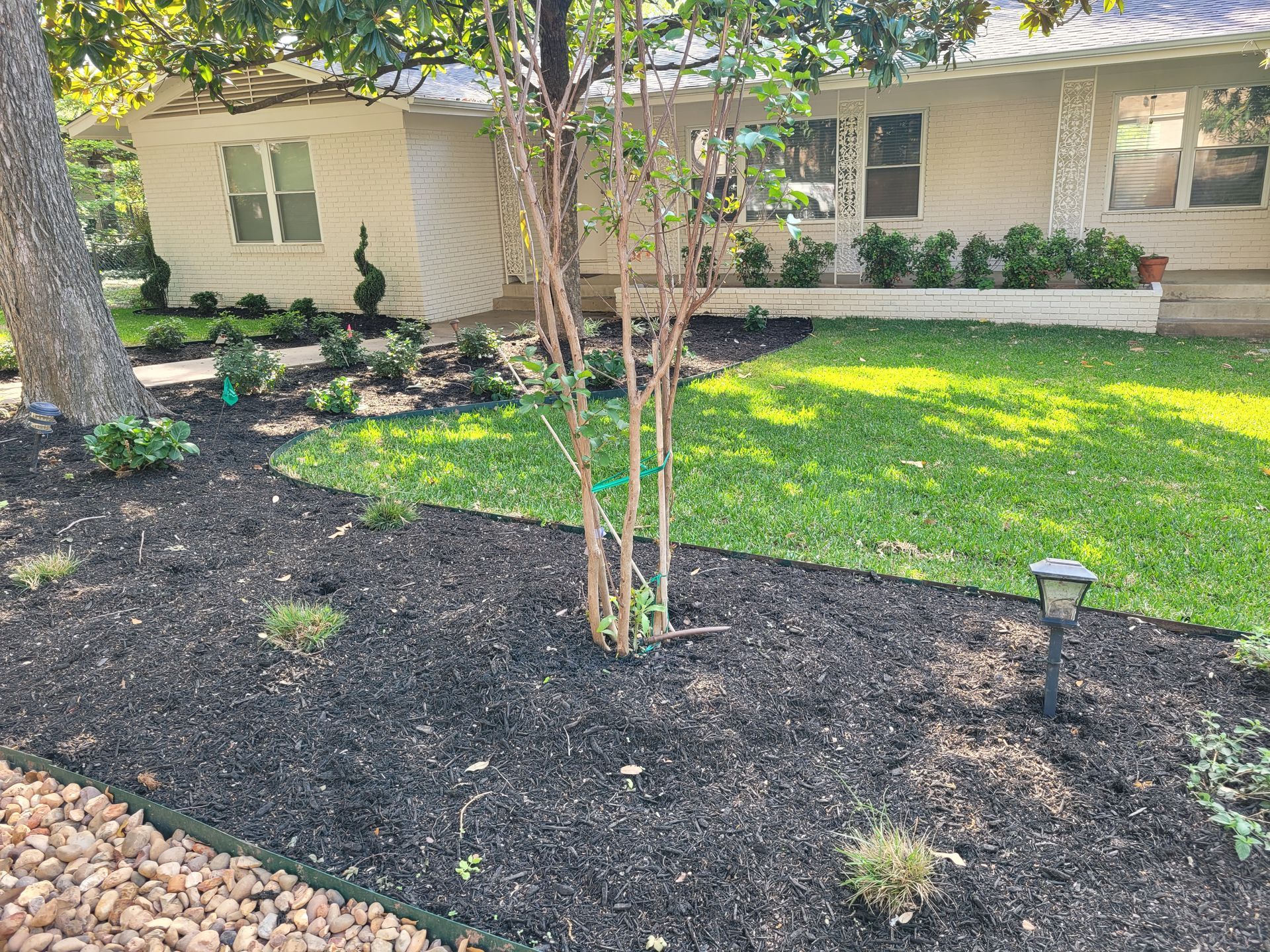 A white house with a lush green lawn and a tree in front of it.