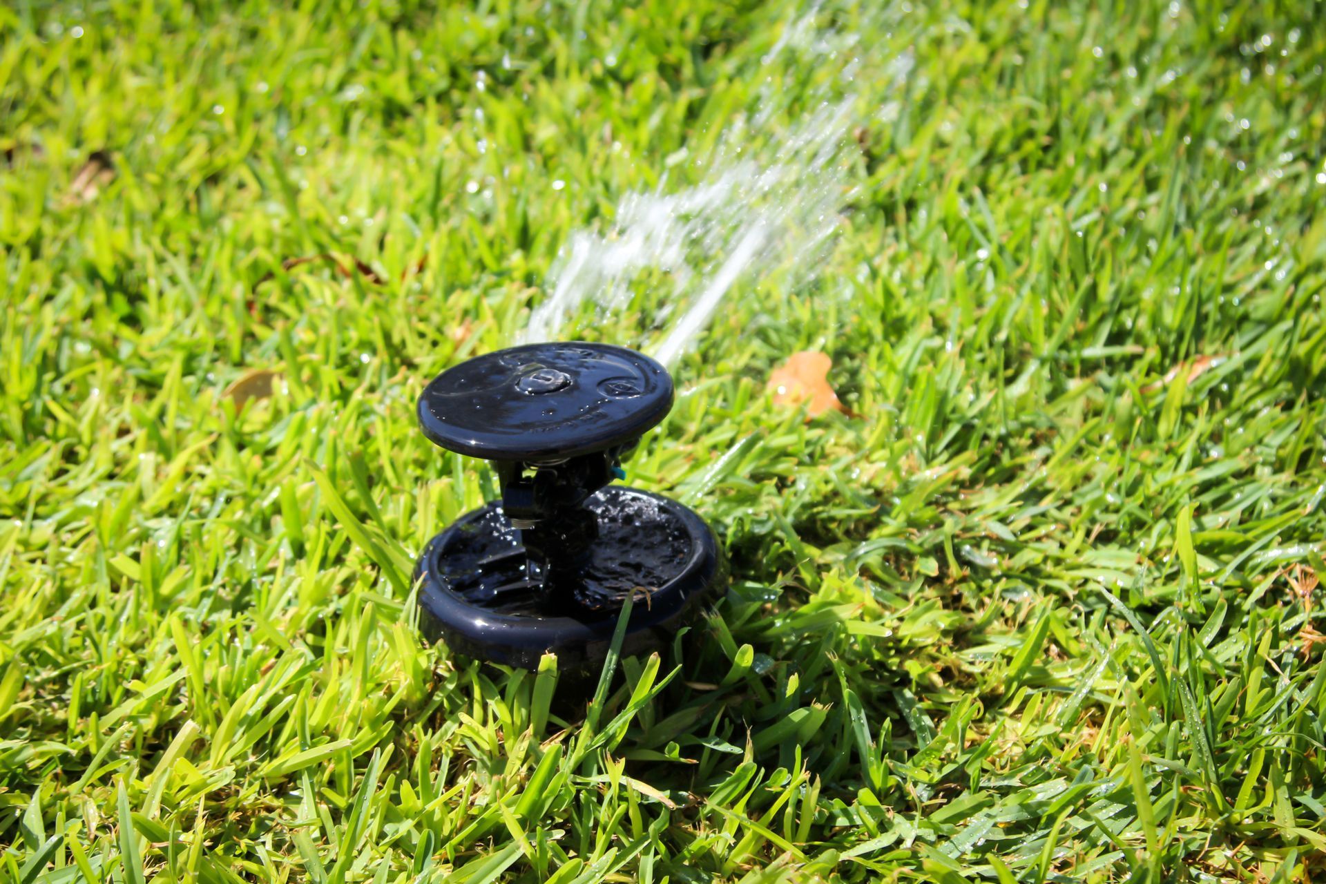 Irrigation System Repair Austin TX, Drip Line Replacement