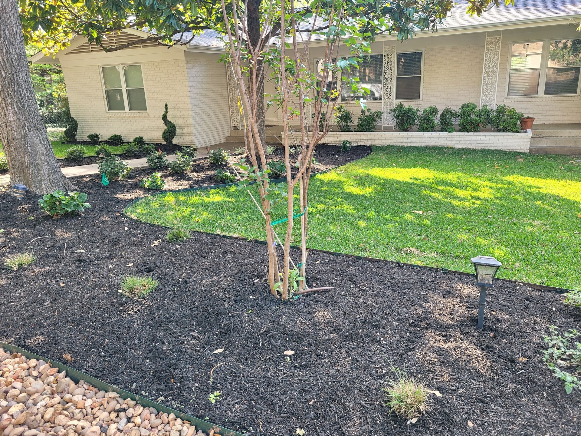 A white house with a large lawn and a tree in front of it.