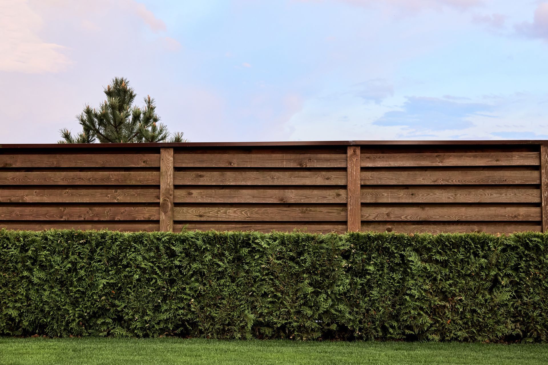 A black wrought iron fence surrounds a grassy field.
