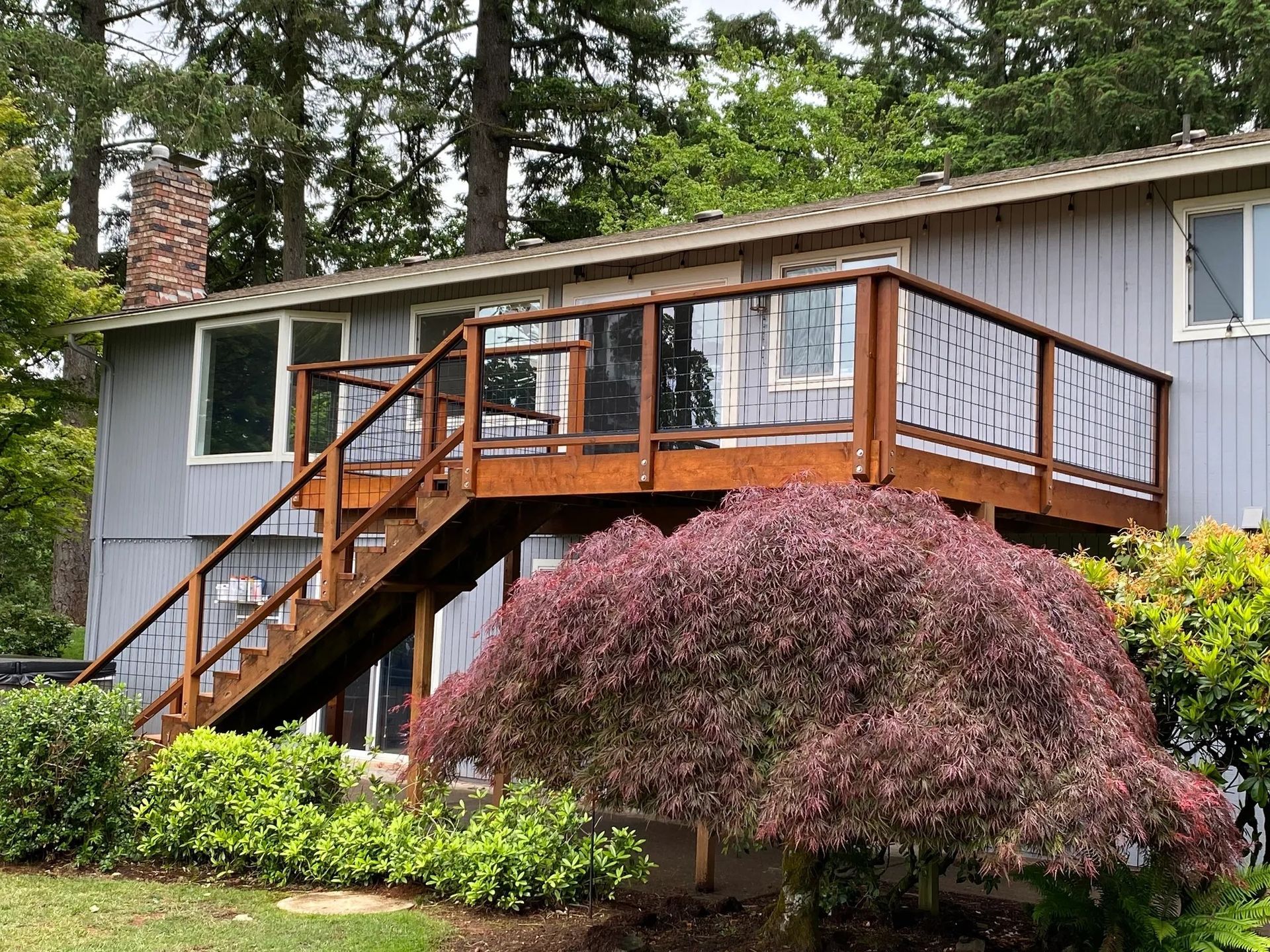 A wooden deck with a staircase and metal railing attached to the side of a grey house, featuring a large Japanese maple.