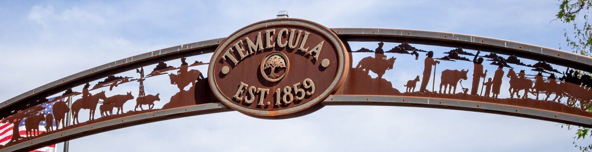 Temecula limo wine tour services