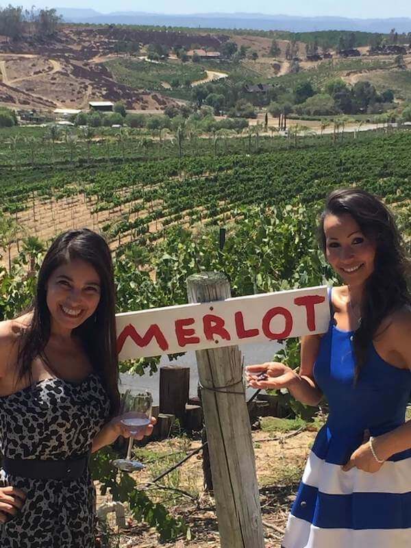 limo wine tours from Anaheim to Temecula CA