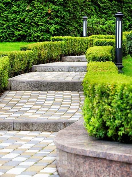 A brick walkway with steps and bushes in a garden.