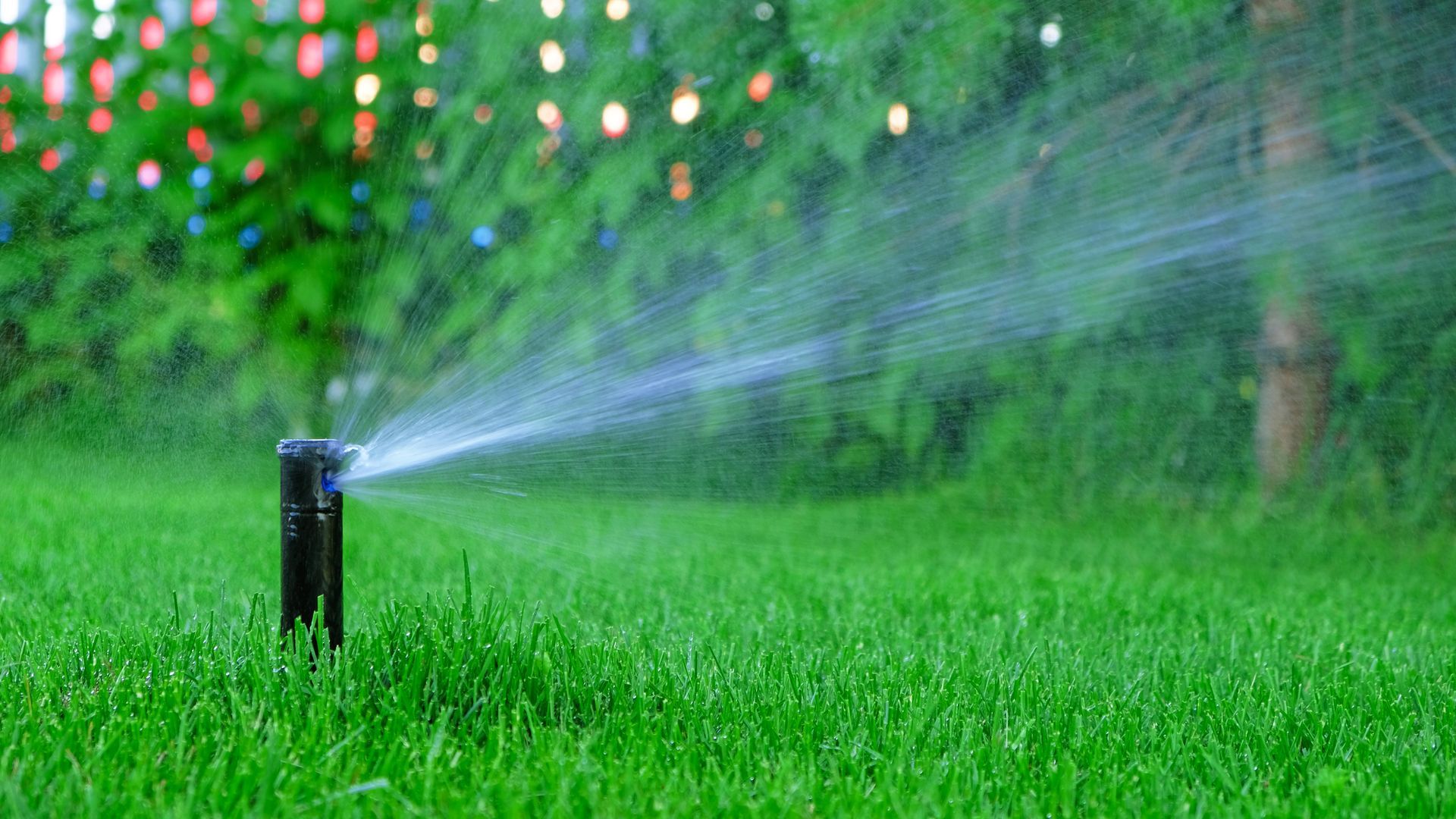 A sprinkler spraying water on a green lawn with a blurred background of trees.