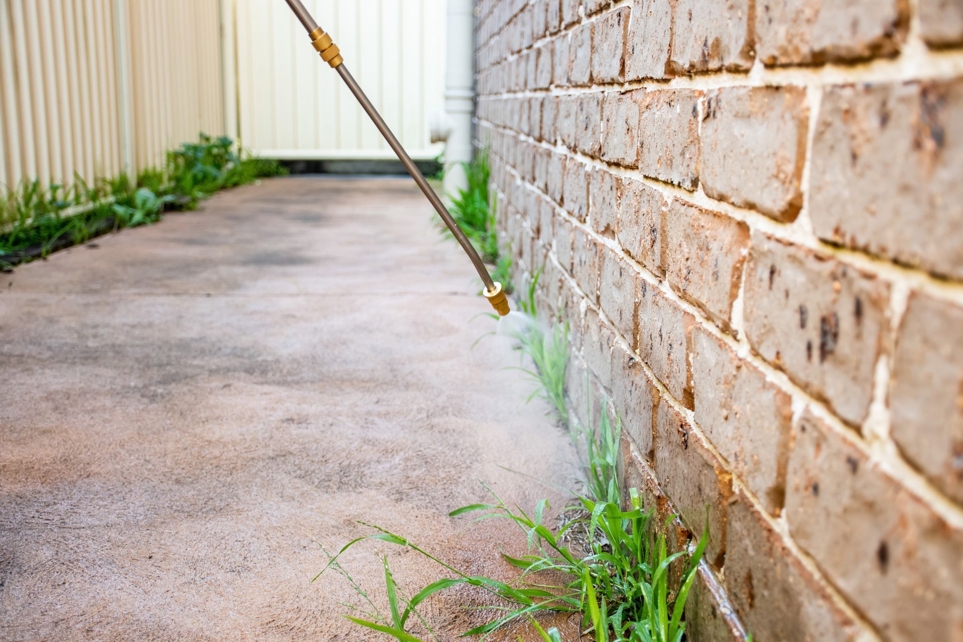A person spraying weeds with a nozzle along a brick wall and concrete path.