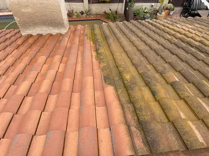 Roof tiles, half clean, half covered in green moss.