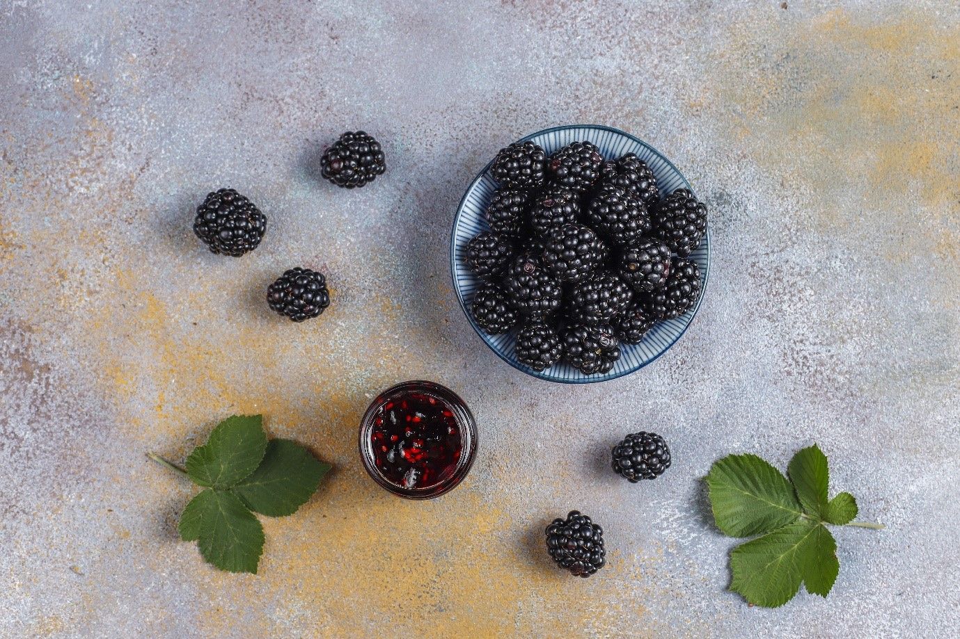 Thornless Blackberries