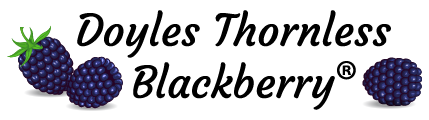 Doyle's Thornless Blackberry logo