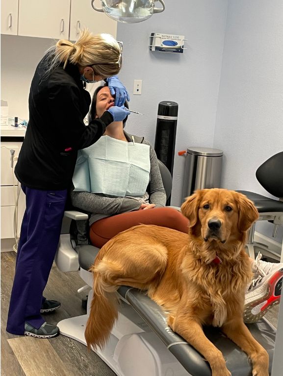 patient on dentist chair with a dog