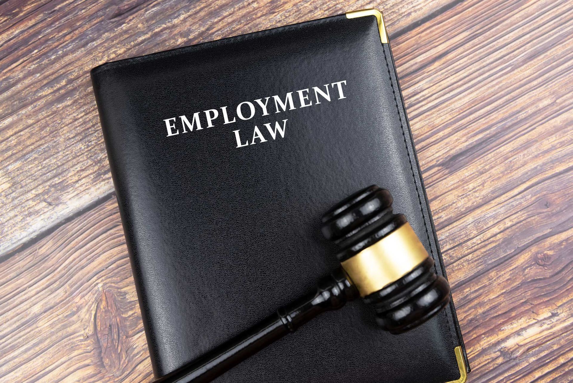 Employment Law — Maple Grove, MN —  Donohue McKenney, Ltd.