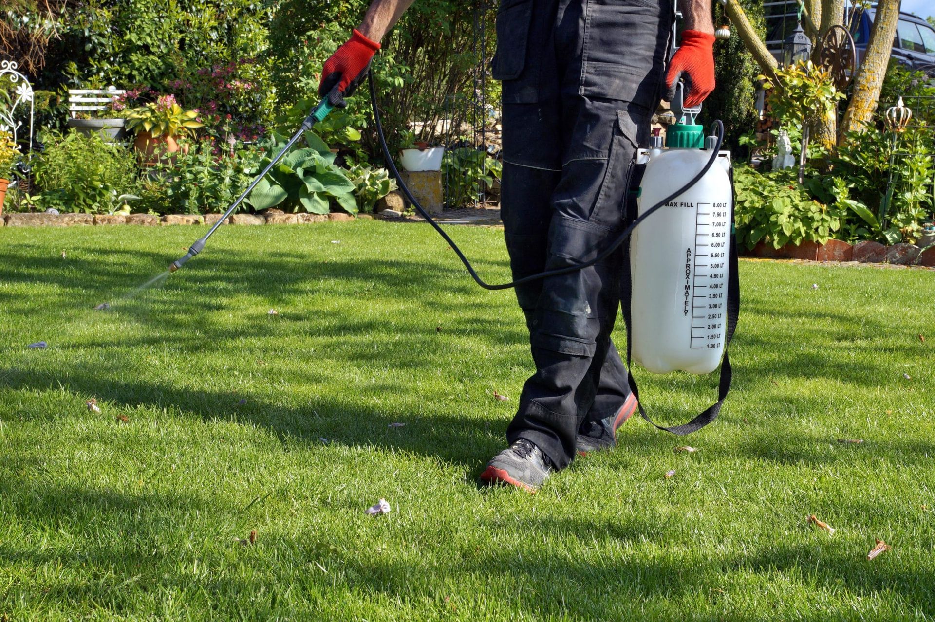 A cleaner using a vacuum cleaner to efficiently clean a carpeted floor, effectively removing dirt and debris.