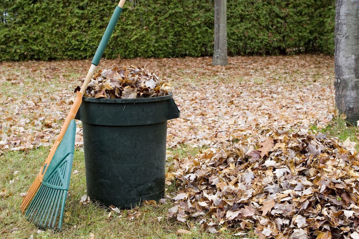A green trash can filled with leaves and a broom.