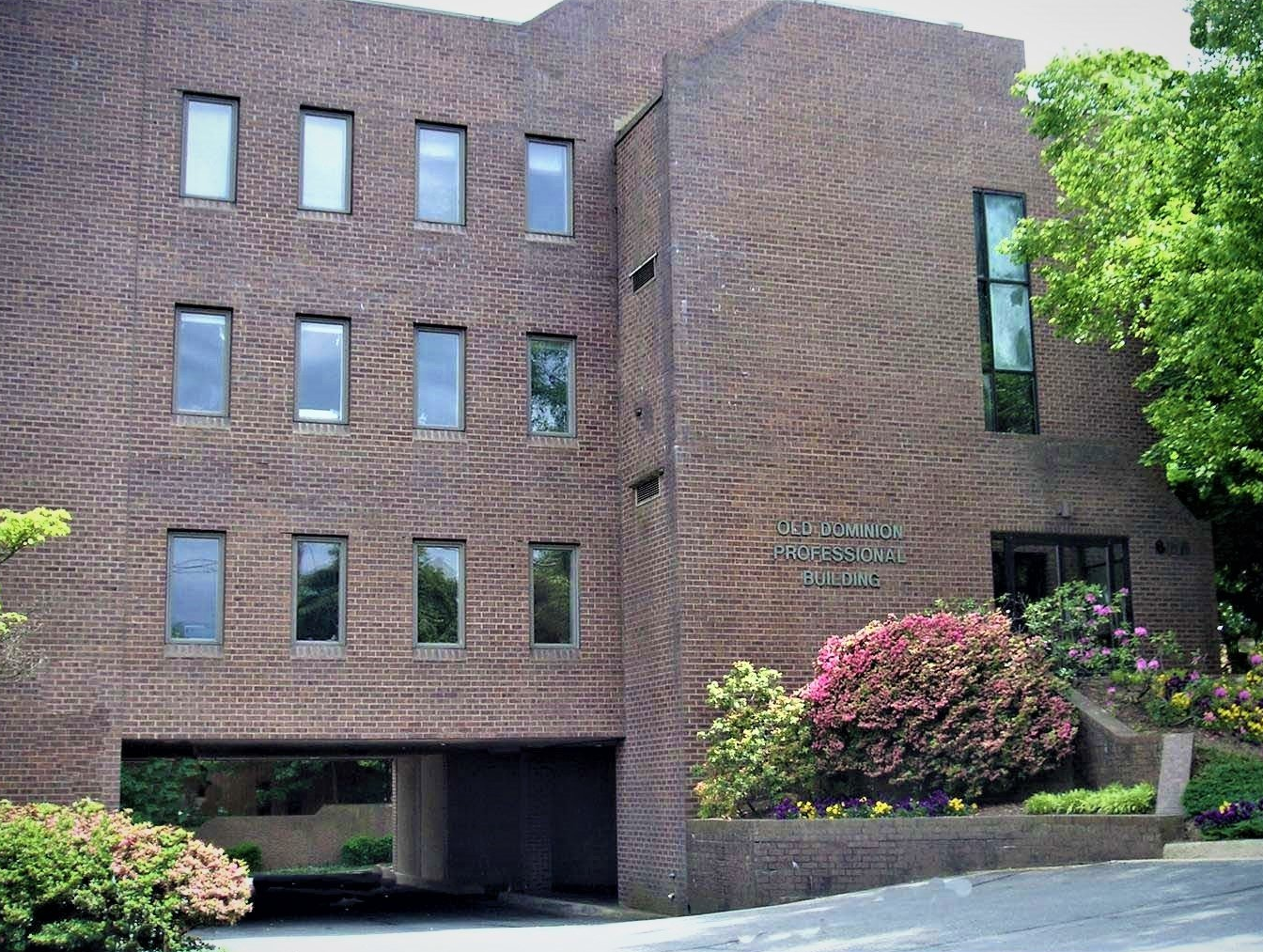 Old Dominion Profesional