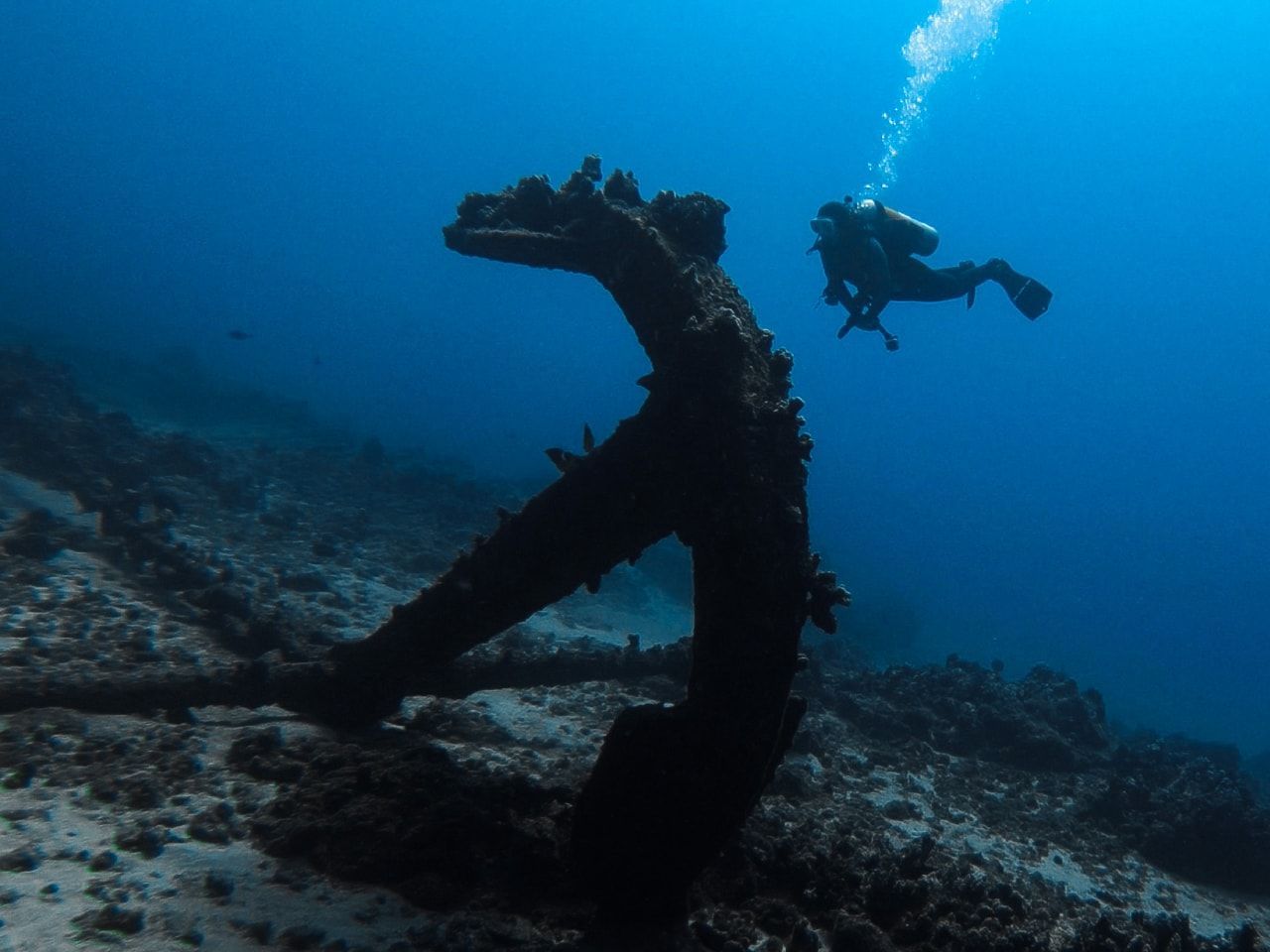 a scuba diver is swimming near an anchor in the ocean