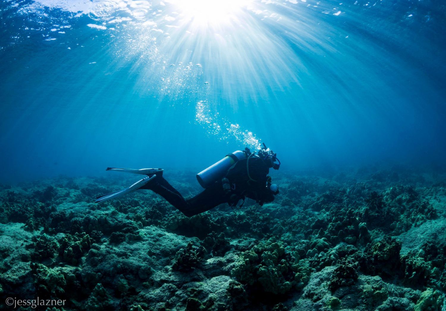 A scuba diver is swimming in the ocean with the sun shining through the water