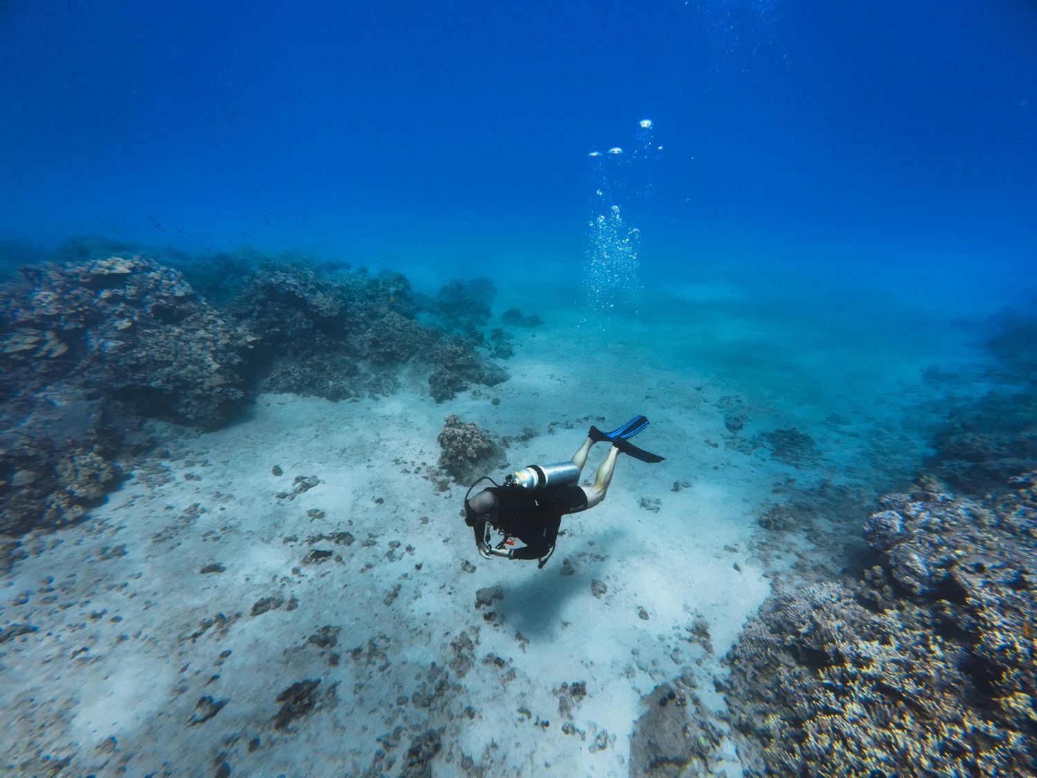 A scuba diver is swimming in the ocean near a coral reef.