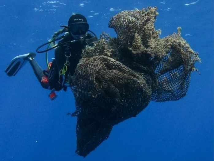 A scuba diver is holding a large piece of coral in the ocean.