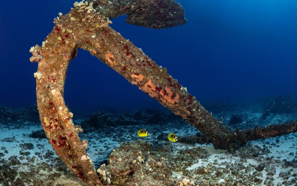 two yellow fish are swimming near an anchor in the ocean