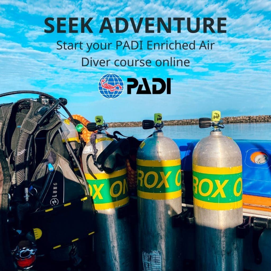 an advertisement for a padi enriched air diver course online