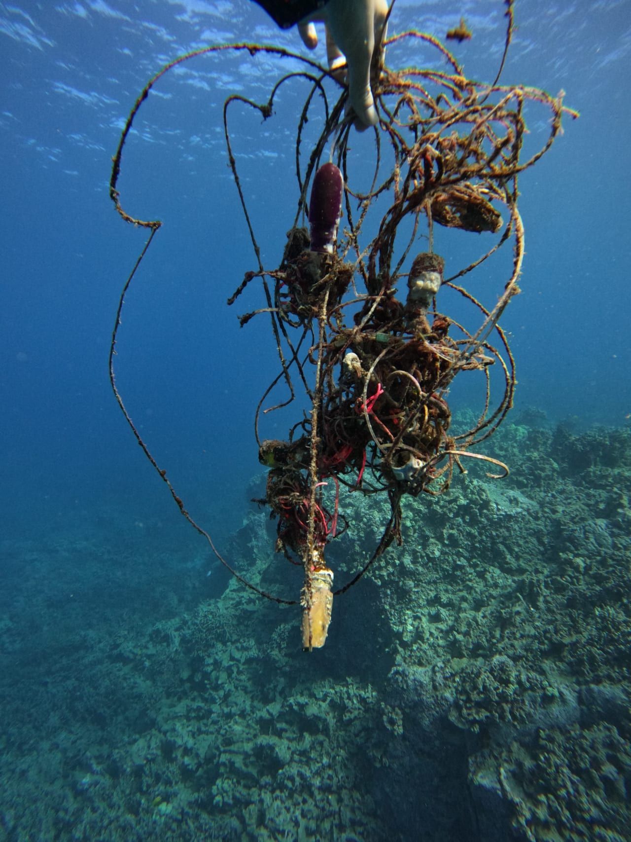a bunch of ropes are floating in the ocean