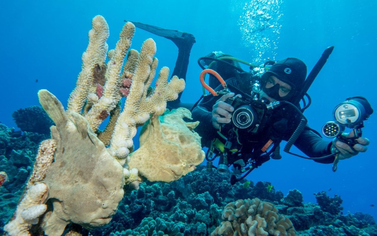 A scuba diver snaps photos of multi-colored reef