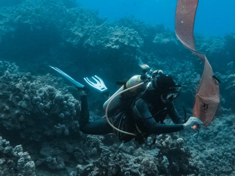 a scuba diver is holding a bag with the letter x on it