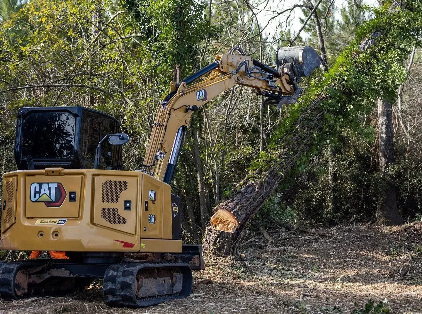 A cat excavator is cutting down a tree in the woods.