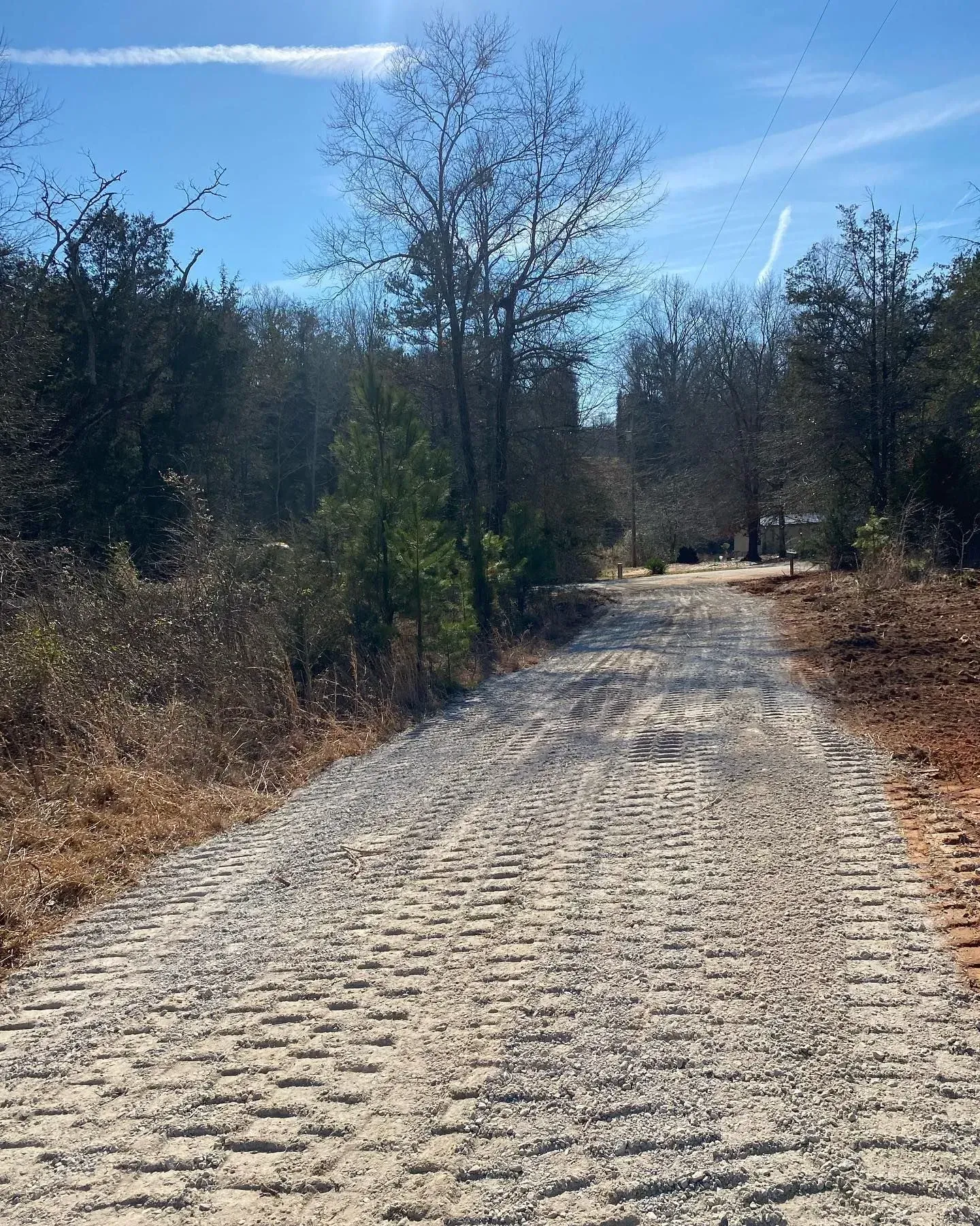 A dirt road going through a forest on a sunny day