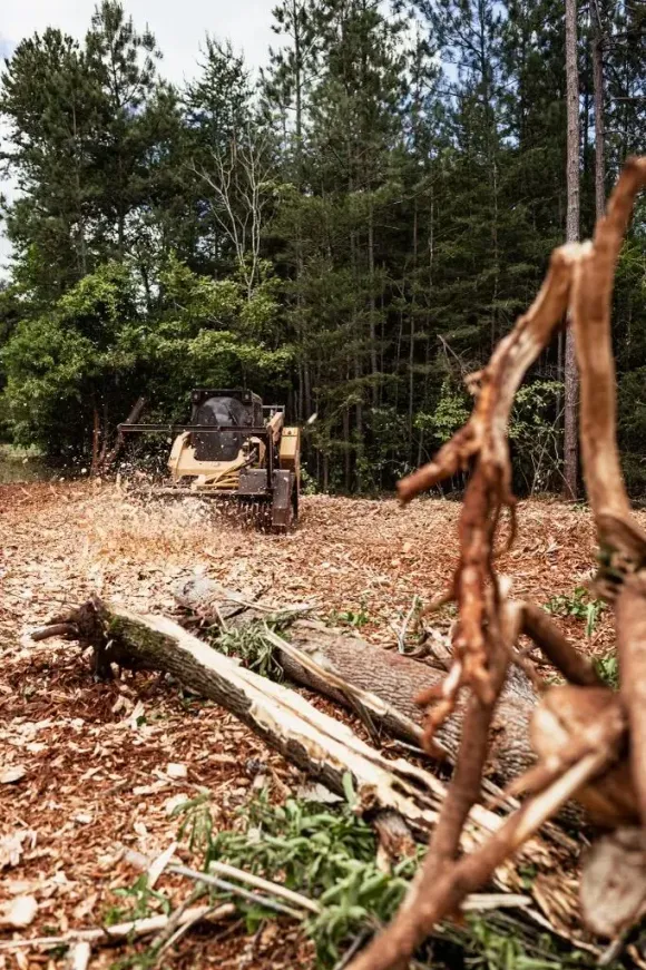A bulldozer is cutting down trees in the woods.