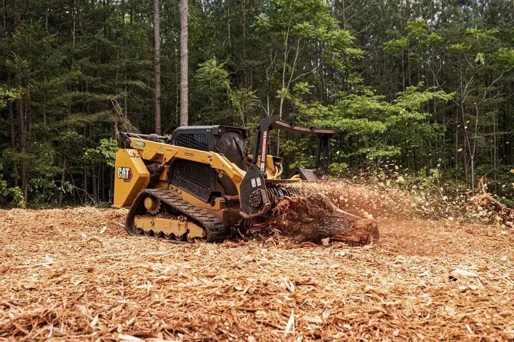 Yellow Caterpillar forestry mulcher working in a forest, grinding wood and leaving wood chips.