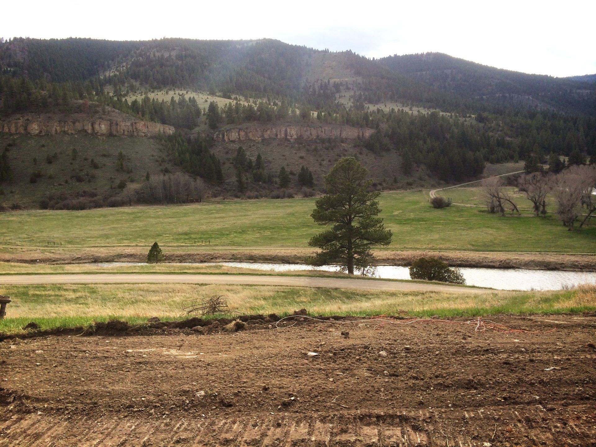 There is a small pond in the middle of a field with mountains in the background.