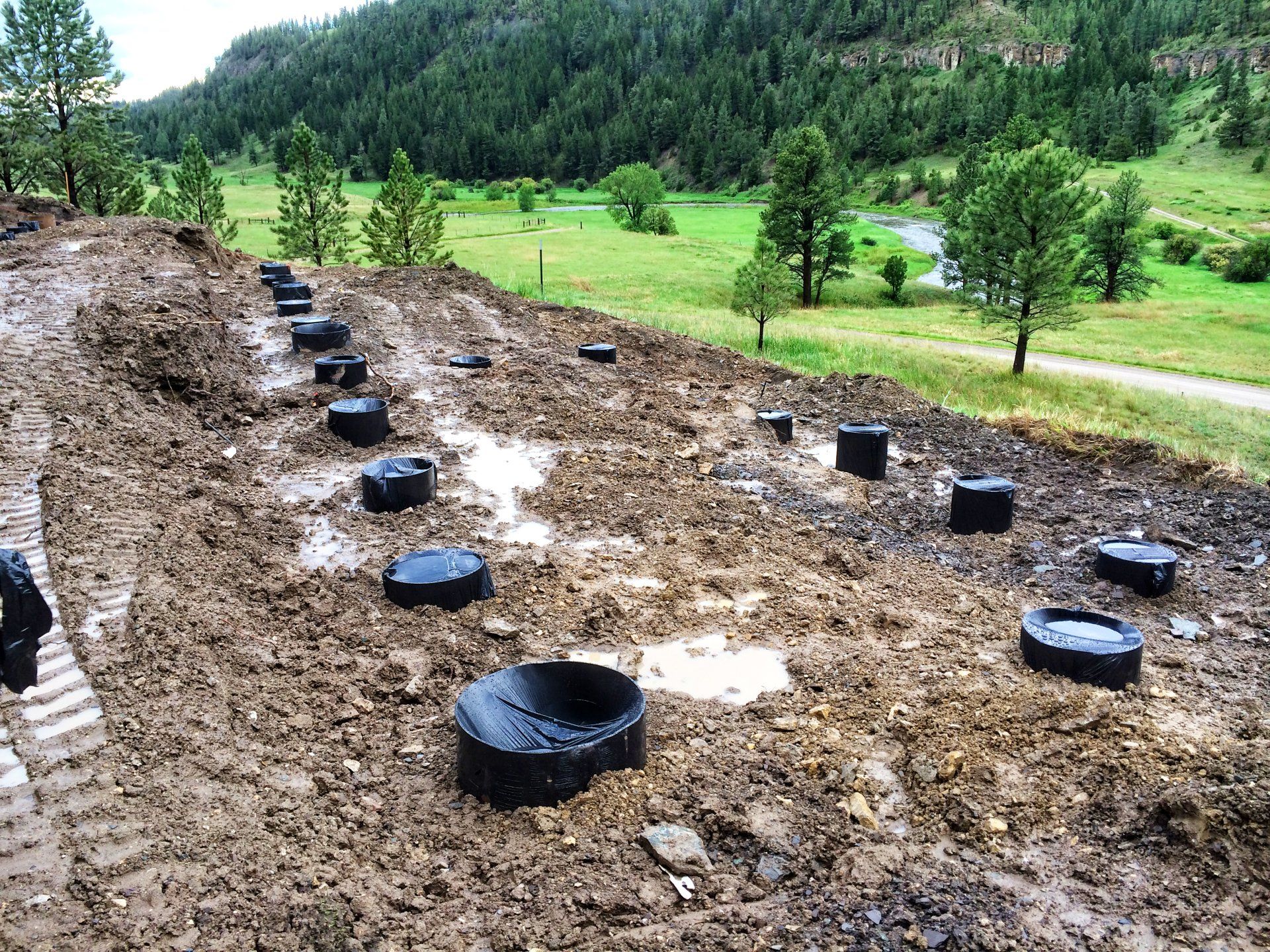 A muddy field with a lot of tires in it